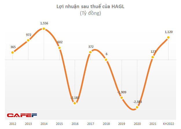 Bầu Đức viết tâm thư về kỳ vọng hồi sinh HAGL: Năm 2022 dự kiến lãi gấp 10 lên 1.120 tỷ, chào bán cả nghìn tỷ để trồng chuối – nuôi heo - Ảnh 1.