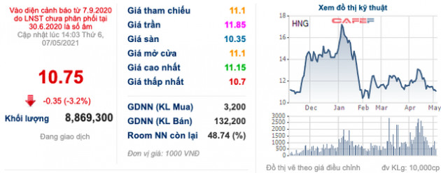 Bầu Đức vừa chi hơn 33 tỷ mua 3 triệu cổ phiếu HAGL Agrico (HNG) - Ảnh 1.