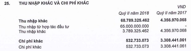 BĐS Phát Đạt (PDR): Ghi nhận 65 tỷ đồng lợi nhuận từ hợp tác đầu tư, LNST 6 tháng đạt 240 tỷ đồng - Ảnh 2.