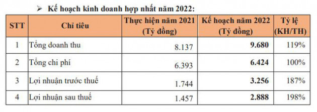 Becamex (BCM) lên kế hoạch lợi nhuận hợp nhất tăng gấp đôi, dự chia cổ tức tỷ lệ 8% bằng tiền - Ảnh 1.