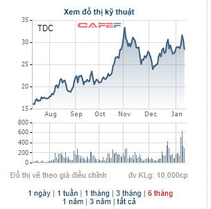 Becamex TDC đấu giá 35 triệu cổ phiếu, giá khởi điểm 27.900 đồng/cp - Ảnh 1.