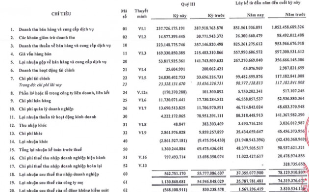 Becamex TDC: Kết quả kinh doanh quý 3 lao dốc, giá cổ phiếu vẫn lập đỉnh - Ảnh 1.