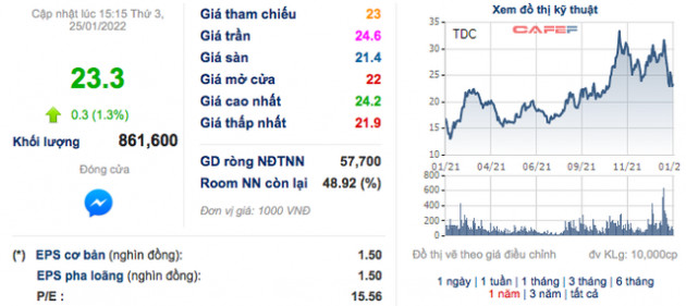 Becamex TDC: Năm 2021 lãi 122 tỷ đồng, giảm 40% so với cùng kỳ - Ảnh 2.