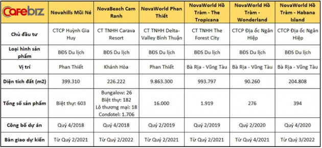 Bên cạnh siêu dự án NovaWorld Phan Thiết 5 tỷ USD, Novaland còn những dự án nào trong tay? - Ảnh 3.