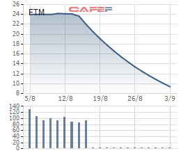 Bị cắt margin, game cổ phiếu bị vỡ, nhà sản xuất sợi cotton FTM đo sàn 14 phiên liên tiếp - Ảnh 1.