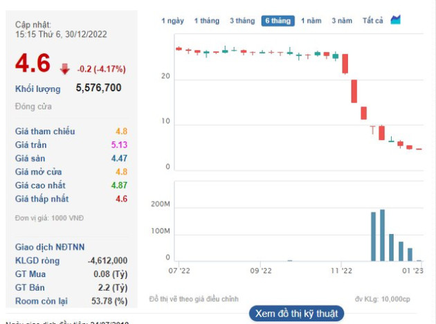 Bị giải chấp gần 25% công ty trong tháng 12, gia đình ông chủ Hải Phát Invest còn sở hữu bao nhiêu? - Ảnh 1.