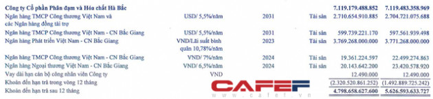 Bị phong toả một loạt tài sản, Vinachem muốn chuyển nhượng vốn tại Dự án Muối mỏ Lào - Ảnh 2.