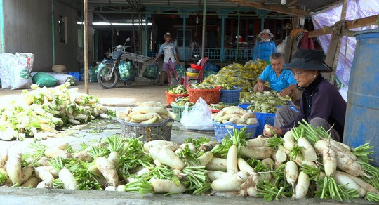 Bí quyết giòn, ngon của làng nghề dưa cải Tết lớn nhất miền Tây - Ảnh 1.