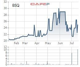 Bia Sài Gòn Quảng Ngãi (BSQ) báo lãi 80 tỷ đồng nửa đầu năm, gấp đôi cùng kỳ - Ảnh 2.