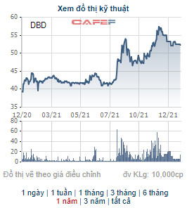 Bidiphar (DBD) triển khai phát hành gần 12 triệu cổ phiếu tạm ứng cổ tức năm 2021 - Ảnh 1.