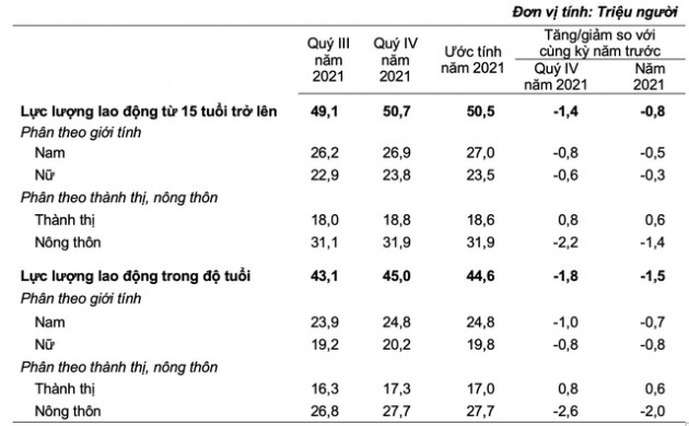 Biến động thu nhập lao động Việt Nam năm 2021: Bình quân quý 4 đạt 6,1 triệu đồng/tháng, vậy cả năm tăng hay giảm? - Ảnh 1.