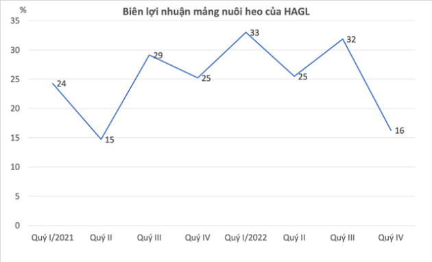  Biên lợi nhuận mảng heo ăn chuối gần chạm đáy, HAGL sẽ thoát nạn như lời bầu Đức từng tuyên bố? - Ảnh 2.