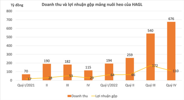  Biên lợi nhuận mảng heo ăn chuối gần chạm đáy, HAGL sẽ thoát nạn như lời bầu Đức từng tuyên bố? - Ảnh 3.