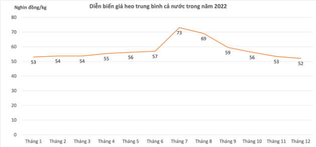  Biên lợi nhuận mảng heo ăn chuối gần chạm đáy, HAGL sẽ thoát nạn như lời bầu Đức từng tuyên bố? - Ảnh 4.