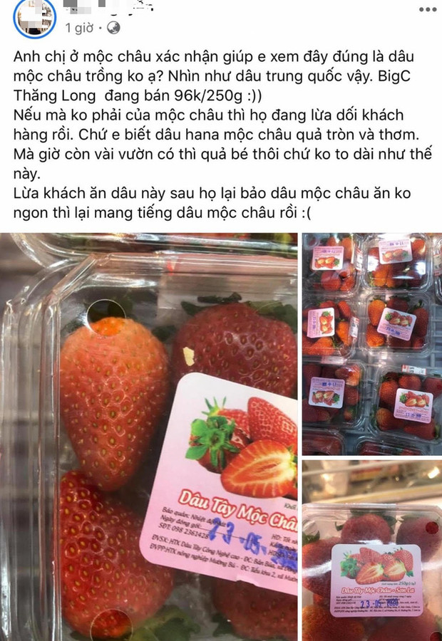 BigC nói gì về nghi vấn dâu tây “lạ” gắn địa chỉ “ma” đánh lừa người tiêu dùng? - Ảnh 1.