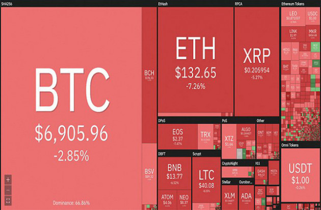 Bitcoin 'cháy rực' giữa ‘biển lửa’ thị trường