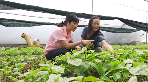 [BizSTORY] Nguyễn Thị Quỳnh Viên và hành trình gây dựng thương hiệu rau xanh “6 không” - Ảnh 1.