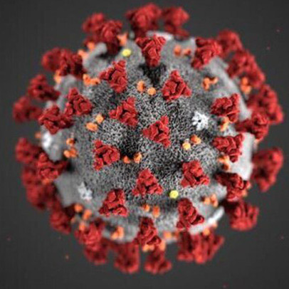 Bloomberg: Trung Quốc có dữ liệu sớm về virus corona nhưng 2 tuần sau mới công bố