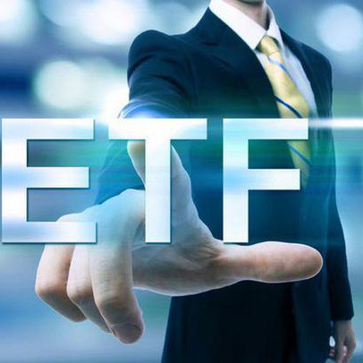 Bộ đôi quỹ ETF ngoại lâu đời nhất thị trường chứng khoán Việt Nam hút ròng gần 3.000 tỷ đồng trong tháng đầu năm 2023