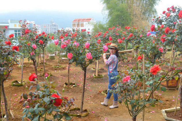 Bỏ ngân hàng đi trồng hoa, chàng trai gây dựng vườn hồng bạc tỷ “đẹp vạn người mê” - Ảnh 3.