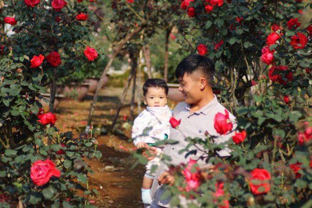 Bỏ ngân hàng đi trồng hoa, chàng trai gây dựng vườn hồng bạc tỷ “đẹp vạn người mê” - Ảnh 4.