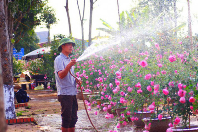 Bỏ ngân hàng đi trồng hoa, chàng trai gây dựng vườn hồng bạc tỷ “đẹp vạn người mê” - Ảnh 7.