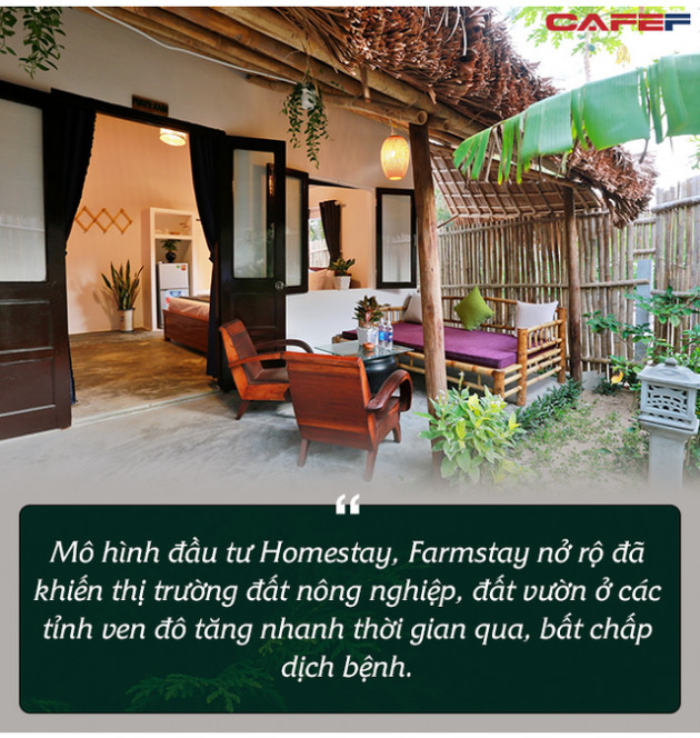 “Bỏ phố về quê” xây homestay, farmstay - Đầu tư sinh lời hay thú vui của giới nhà giàu - Ảnh 2.