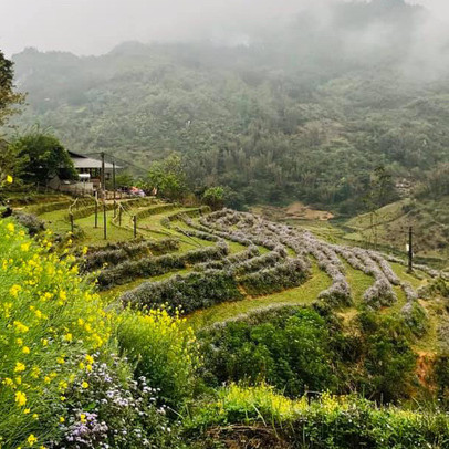 "Bỏ phố về rừng" lúc dịch, đến giờ, tôi bắt đầu hối hận vì phải di chuyển 2 tiếng đến nơi làm việc và về nhà khi trời đã tối