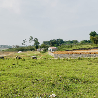 Bộ Tài nguyên và Môi trường phê duyệt và công bố kết quả kiểm kê đất đai cả nước