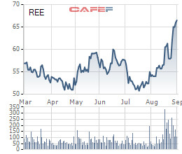 Bỏ trăm tỷ đầu tư chứng khoán và nắm 2,47 triệu cổ phiếu REE, Trần Phú Cable đang lãi hơn 30 tỷ đồng - Ảnh 1.