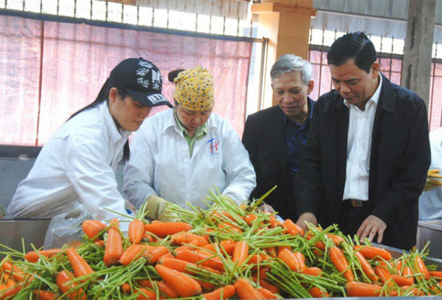 Bộ trưởng Nguyễn Xuân Cường: Nông dân chúng ta ngày càng sáng tạo - Ảnh 1.