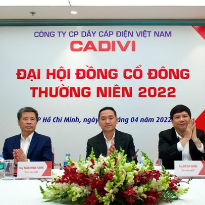 “Bơm” một loạt thông tin tích cực, cổ phiếu “họ” Gelex vẫn đồng loạt giảm sàn