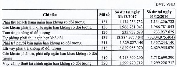 Bông Bạch Tuyết trở lại cuộc chơi sau 9 năm rời thị trường chứng khoán - Ảnh 2.