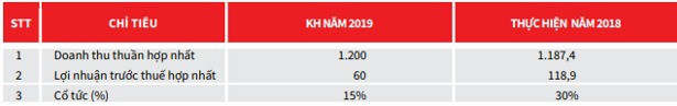 Bóng đèn Điện Quang (DQC) bất ngờ đặt kế hoạch lợi nhuận năm 2019 giảm 50% so với năm 2018 - Ảnh 2.