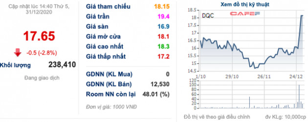 Bóng đèn Điện Quang (DQC): Doanh thu 2020 ước tăng khoảng 10%, dự báo 2021 còn nhiều thách thức - Ảnh 1.