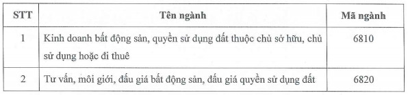 Bóng đèn Rạng Đông muốn bước chân vào lĩnh vực kinh doanh bất động sản - Ảnh 1.