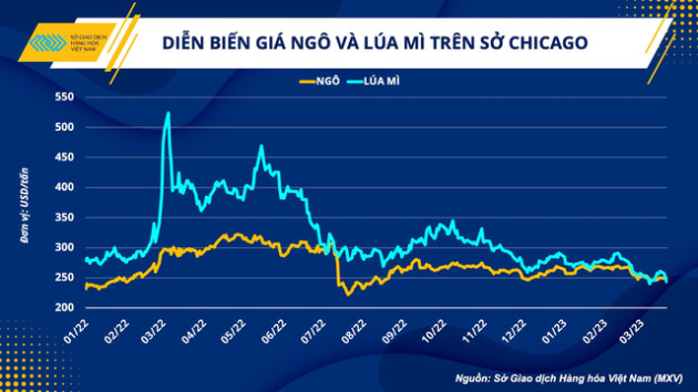 Bớt gánh nặng chi phí nguyên liệu nhập khẩu, ngành chăn nuôi Việt Nam sẽ khởi sắc trong năm nay?