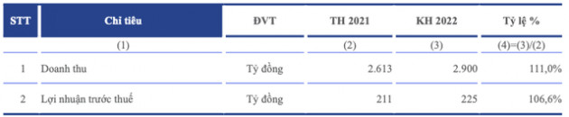 Bột giặt LIX đặt mục tiêu lãi trước thuế 225 tỷ đồng trong năm 2022 - Ảnh 2.