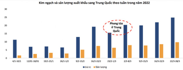 BSC: Ngành cá tra năm 2022 hứa hẹn bùng nổ sau thời gian dài ở đáy, triển vọng sáng cho cổ phiếu nữ hoàng và một tay chơi mới - Ảnh 2.