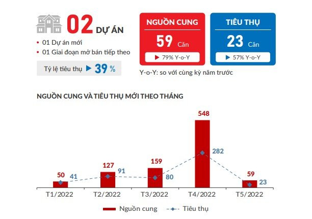  Bức tranh ảm đạm của phân khúc nhà phố, biệt thự tại TP.HCM và các tỉnh lân cận - Ảnh 2.