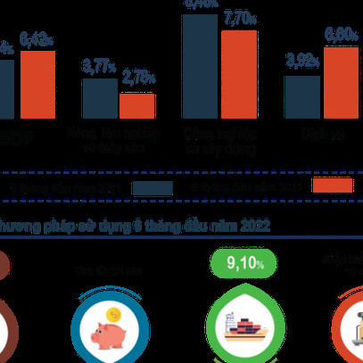 Bức tranh kinh tế 6 tháng đầu năm