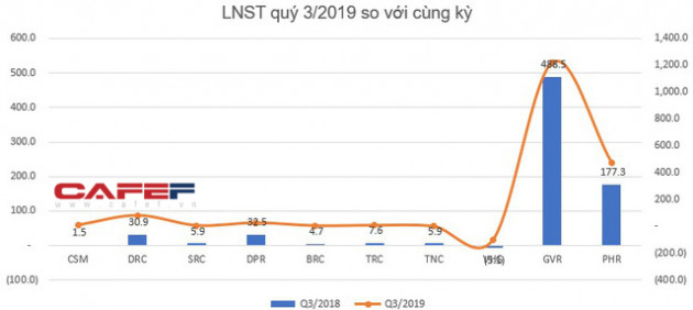 Bức tranh ngành cao su quý 3: Lợi nhuận tăng trưởng nhờ ảnh hưởng từ tình hình chung trên thế giới - Ảnh 7.