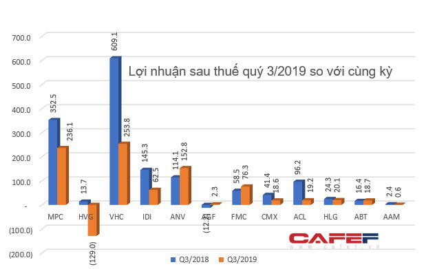 Bức tranh ngành thủy sản quý 3/2019: Kết quả kinh doanh giảm sút, điểm sáng ở vài doanh nghiệp có lợi nhuận tăng trưởng - Ảnh 5.