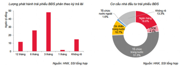 Bùng nổ kênh TPDN: Lãi suất trung bình 8,8%/năm, nhóm BĐS chi trả cao nhất – hơn 10%/năm - Ảnh 7.