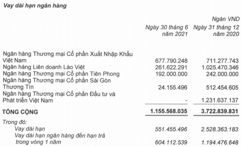 Buông bỏ đứa con nông nghiệp và quyết tâm trả nợ cho HAGL, bầu Đức trong 6 tháng đã giảm được 16.000 tỷ dư nợ vay - Ảnh 2.