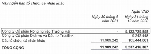 Buông bỏ đứa con nông nghiệp và quyết tâm trả nợ cho HAGL, bầu Đức trong 6 tháng đã giảm được 16.000 tỷ dư nợ vay - Ảnh 3.