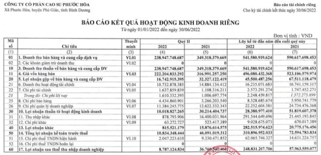 Cao su Phước Hòa (PHR): Dự án VSIP 3 có thể mang về 3.400 tỷ đồng, có kế hoạch phát triển các dự án KCN – Khu đô thị với quy mô gần 3.000 ha - Ảnh 1.