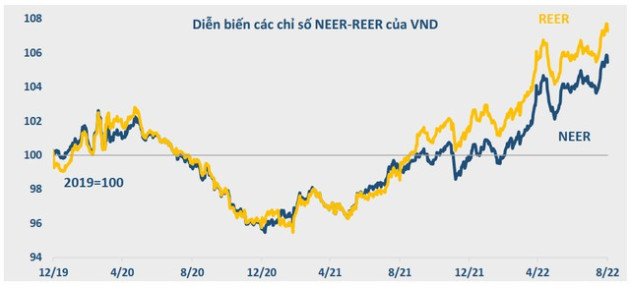 BVSC: Đồng VND của Việt Nam vẫn đang tăng giá so với các nước đối tác - Ảnh 2.