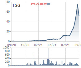 Cá nhân vừa chi hơn trăm tỷ đồng mua gần 2 triệu cổ phiếu Louis Capital (TGG) liên quan tới Xuất nhập khẩu Thiên Nam (TNA)? - Ảnh 1.