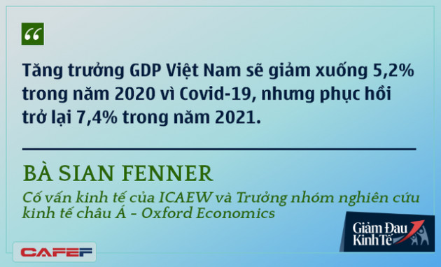 Các chuyên gia kinh tế nói gì về kinh tế Việt Nam thời dịch Covid-19? - Ảnh 13.